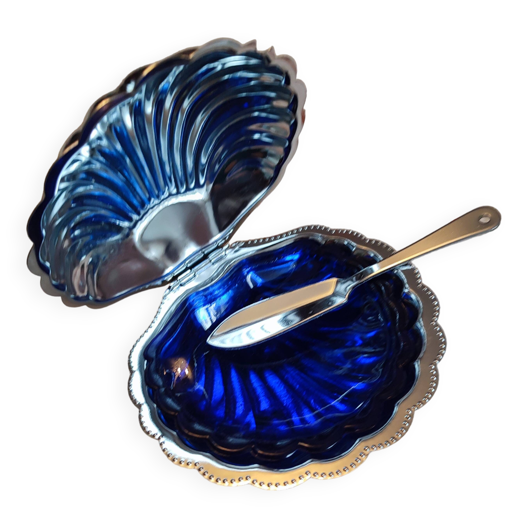 Stainless steel and glass shell butter dish