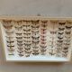 Butterfly frame stuffed under glass