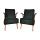 Paire de fauteuils, Tatra Nabytok, Tchécoslovaquie, années 1960