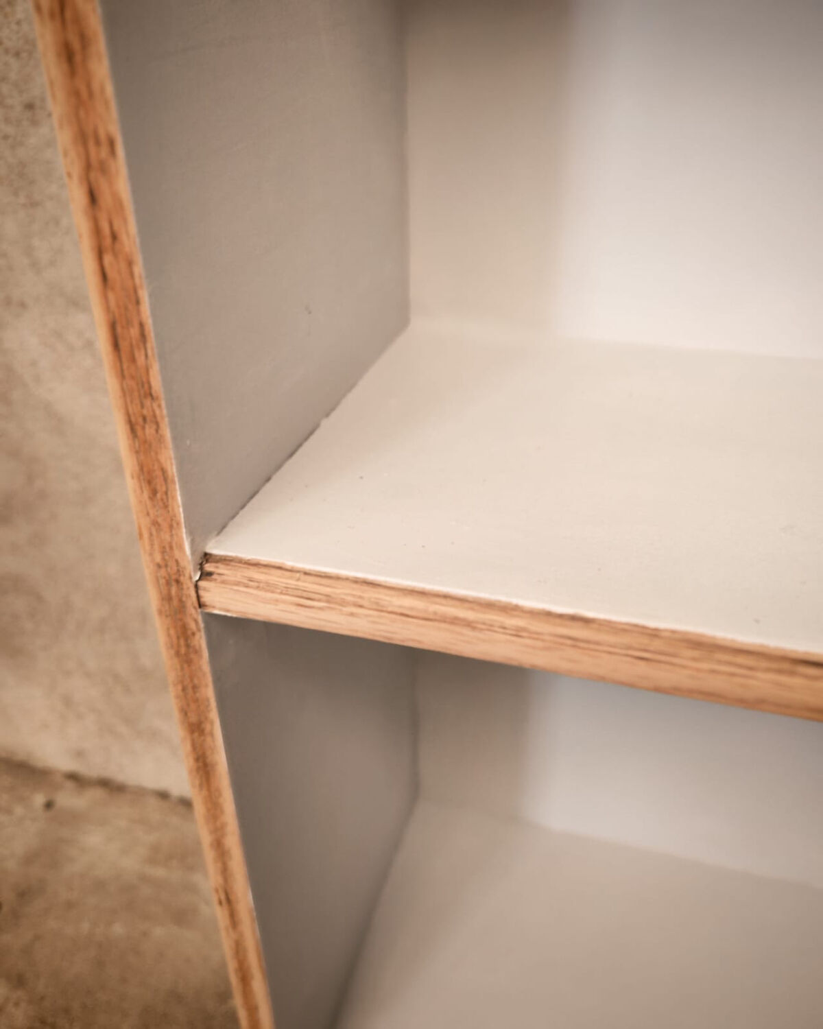 Petite bibliothèque ou cabinet de curiosités