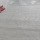 Damask tablecloth 125x125 butterfly embroidery