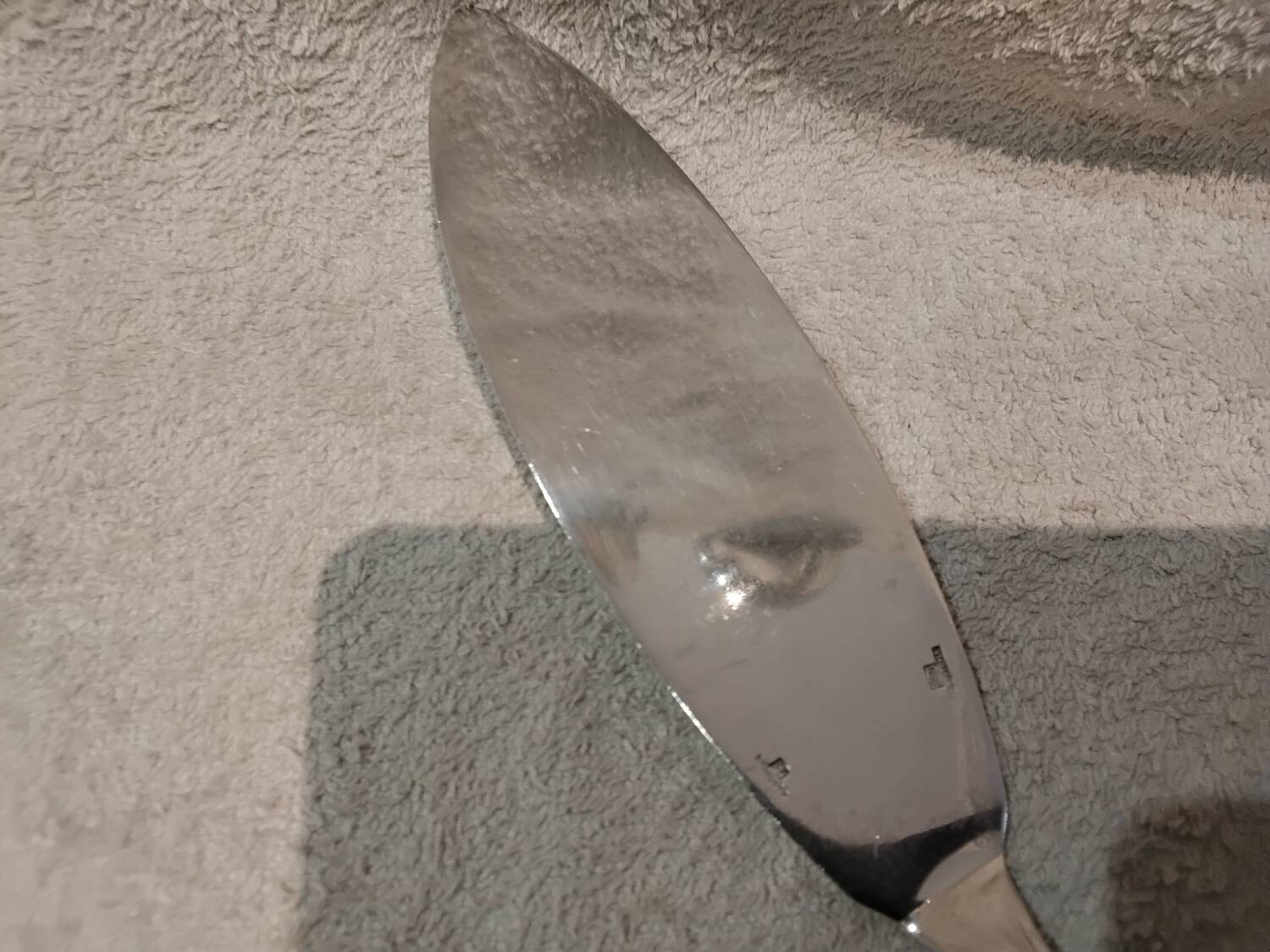 Fish serving set, 2 pieces, silver-plated metal, Christofle Albi silversmith