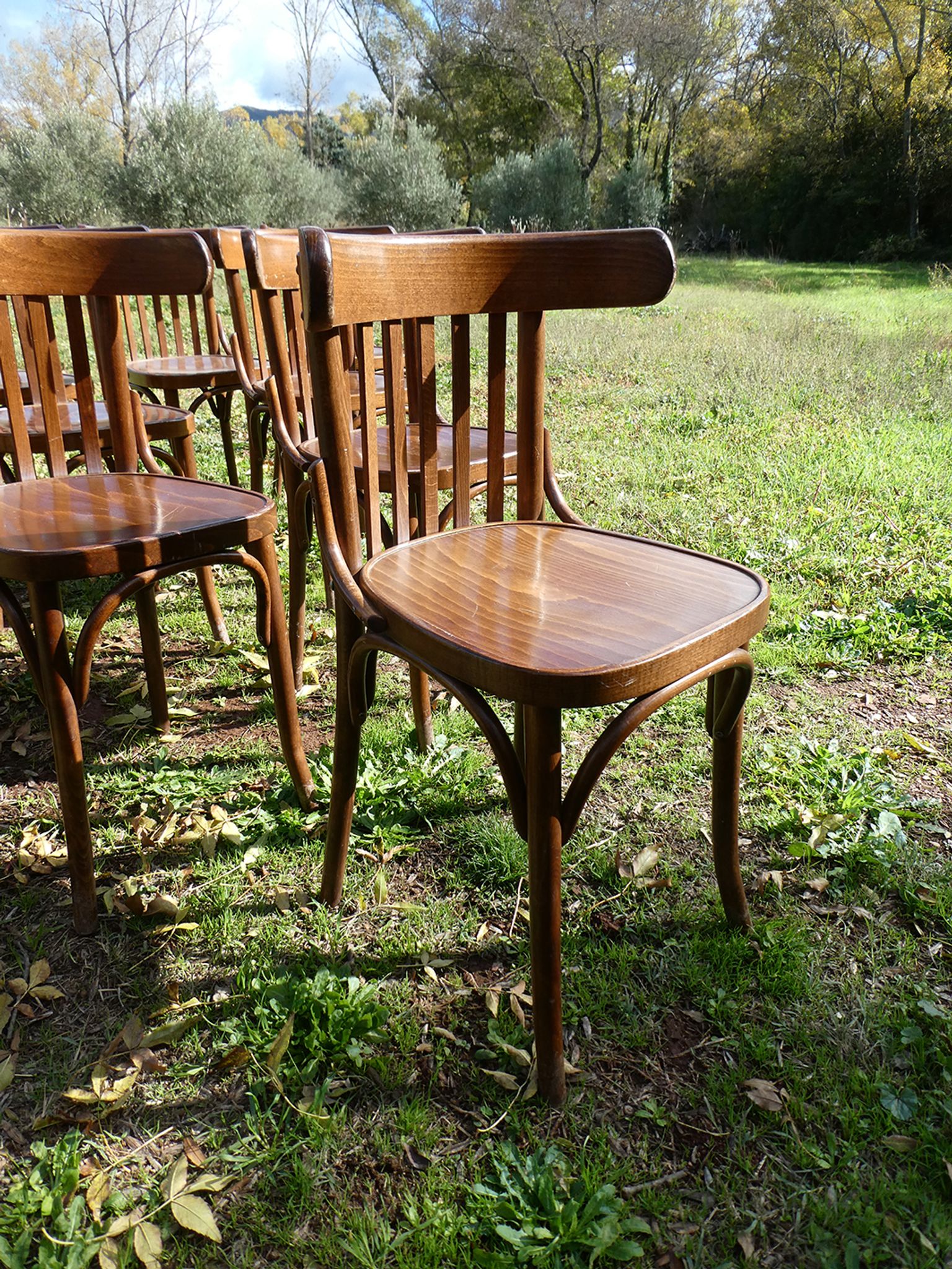 Lot de 11 chaises bistrot en bois courbé vintage
