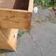 English chest of drawers early 20th