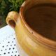 Terracotta pot