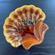 Shell-shaped dish Valauris