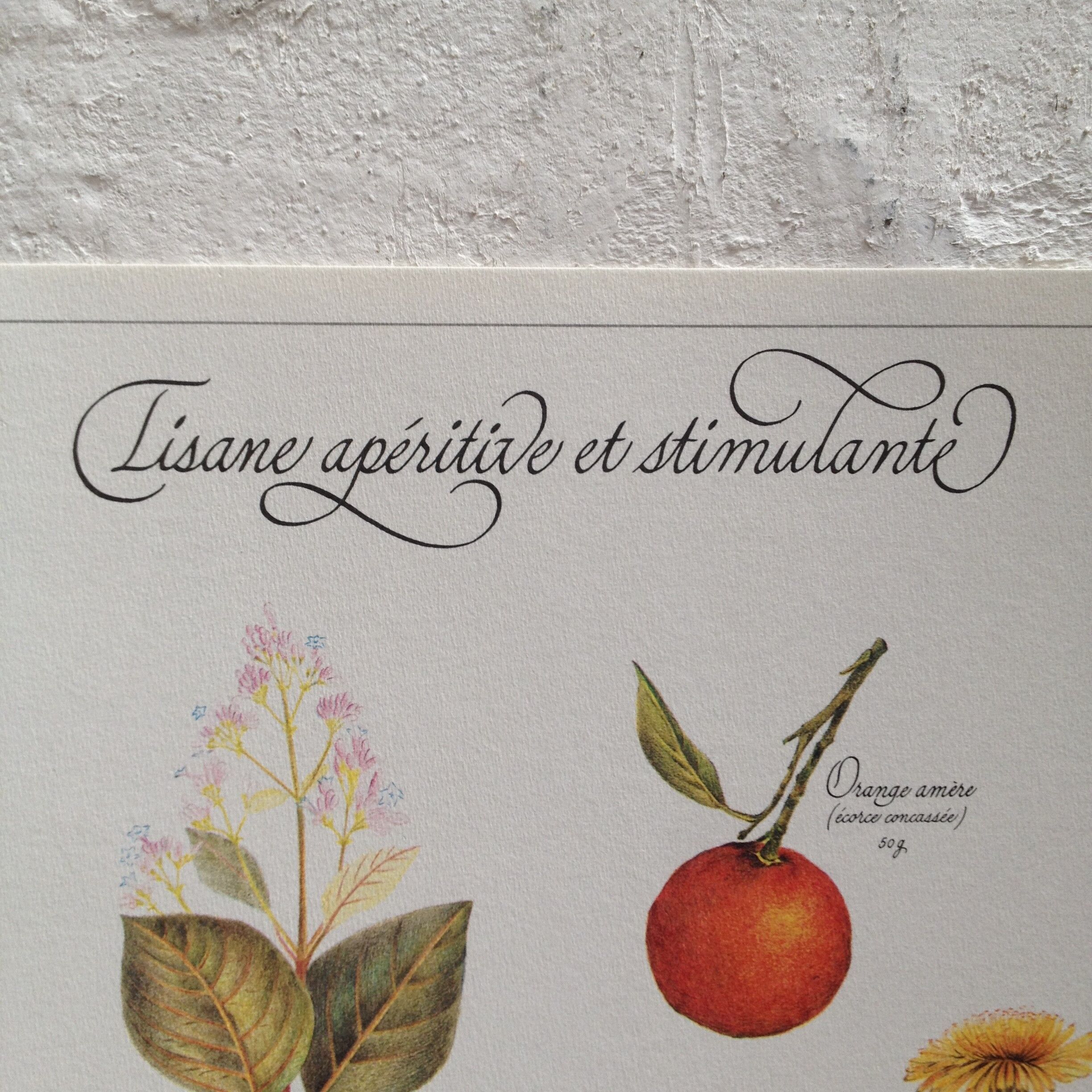 Stimulating aperitif tisane botanical board