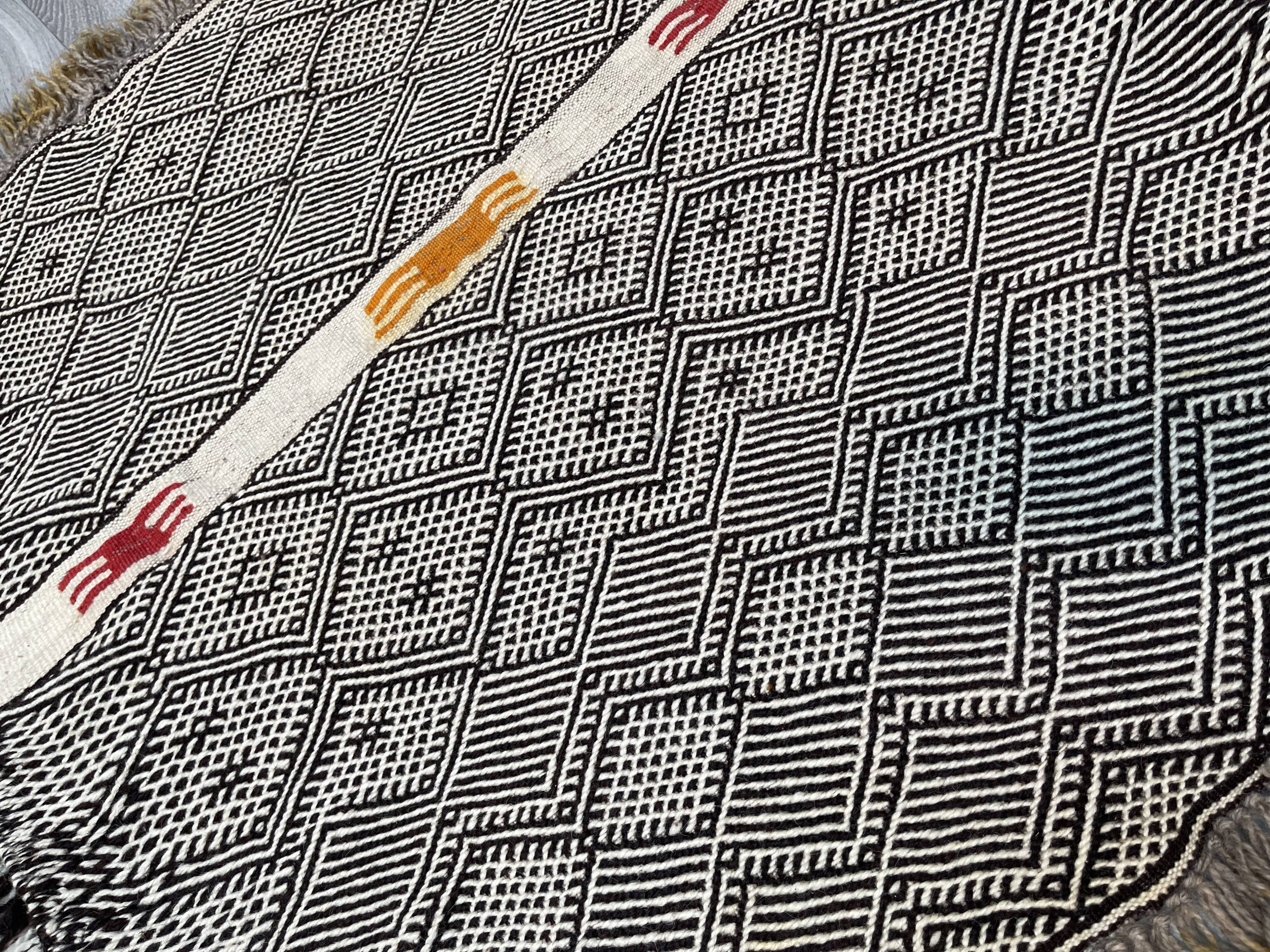 Small and famous Berber Zanafi rug, Taznakht handwoven, wool rug