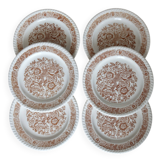 6 assiettes à dessert vintage fleuries – Codec – Décor brun rustique