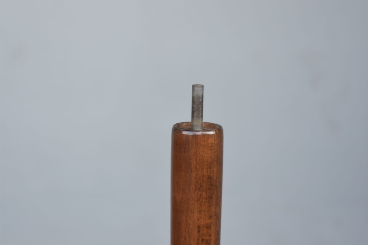 Baumann house parrot coat door