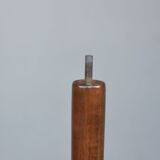 Baumann house parrot coat door