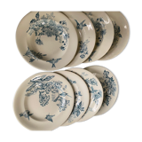 Lot of 8 plates