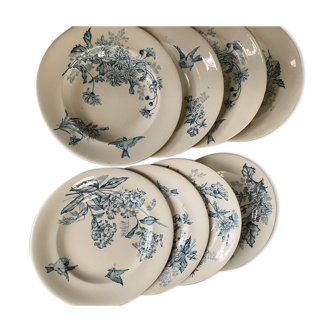 Lot of 8 plates