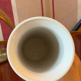 Portmeirion vase the botanical garden