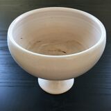 Coupe cache pot sur pied