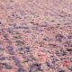 Authentic Vintage Moroccan Rug 203 x 352 cm, Berber Wool Rug, Bohemian Rug