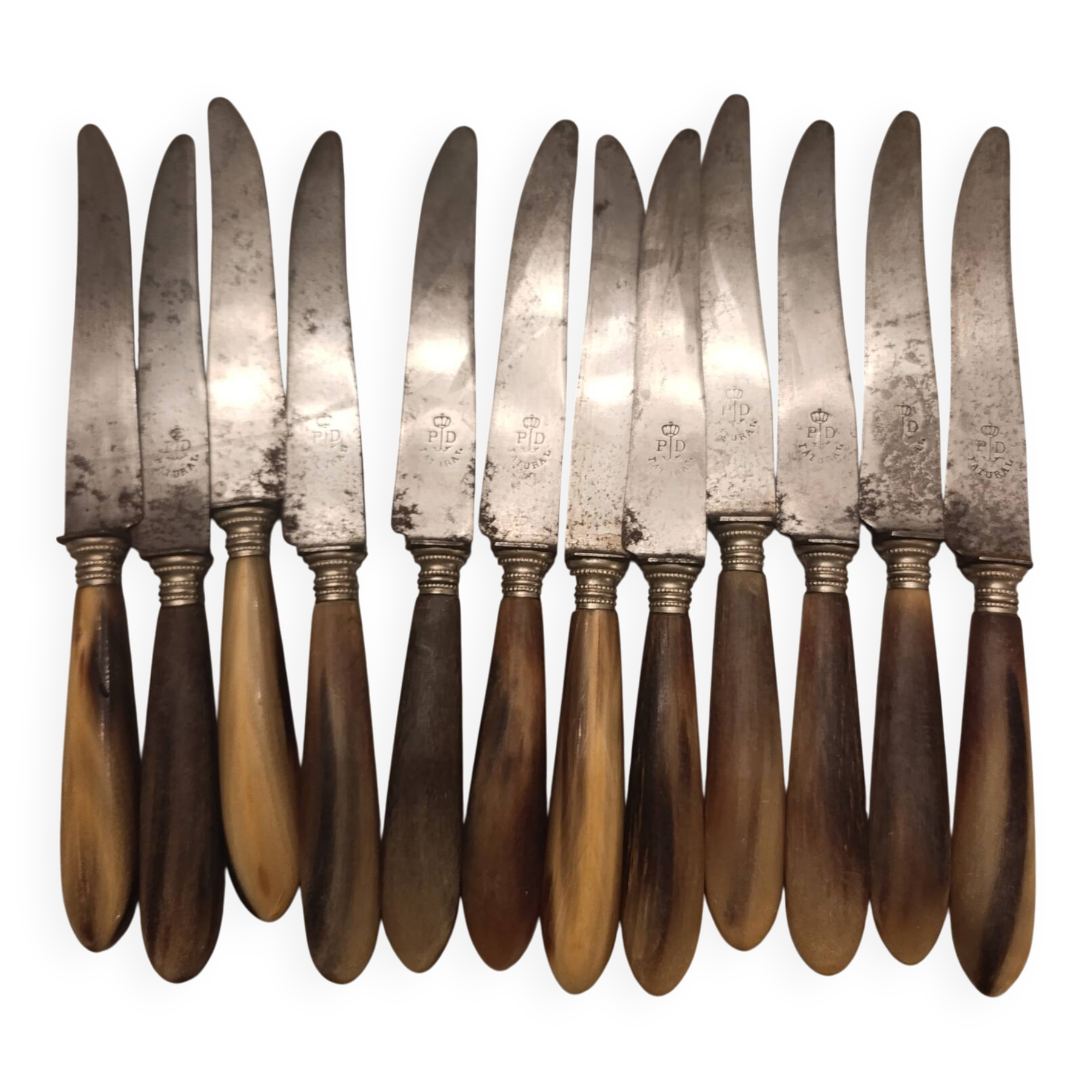 Knife with a horn handle