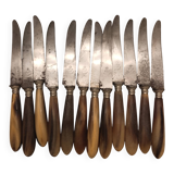 Knife with a horn handle