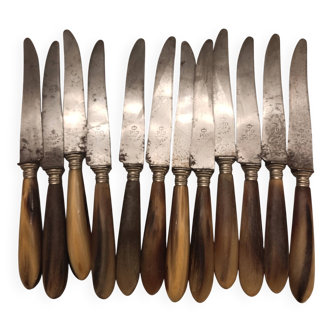 Knife with a horn handle