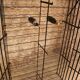 Rididex bottle rack cage 2 doors