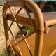 Vintage 1960s rattan and oak shelf by Louis Sognot