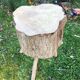 Solid wooden log console table