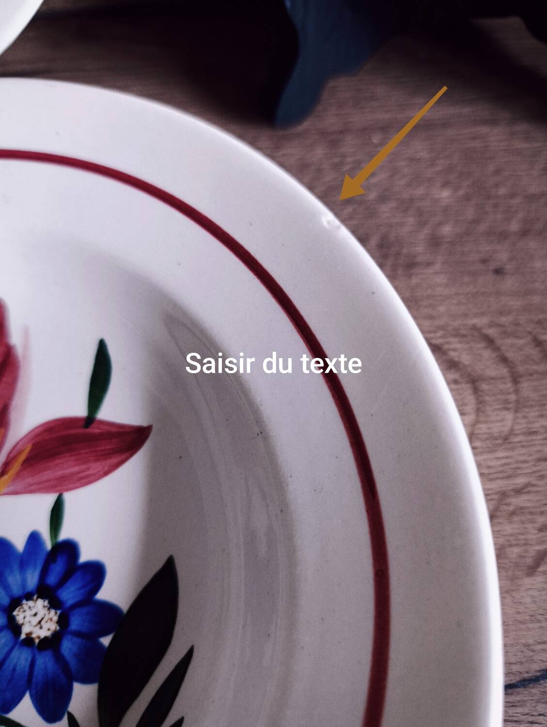 7 antique earthenware soup plates from Sélestat de Sarreguemines