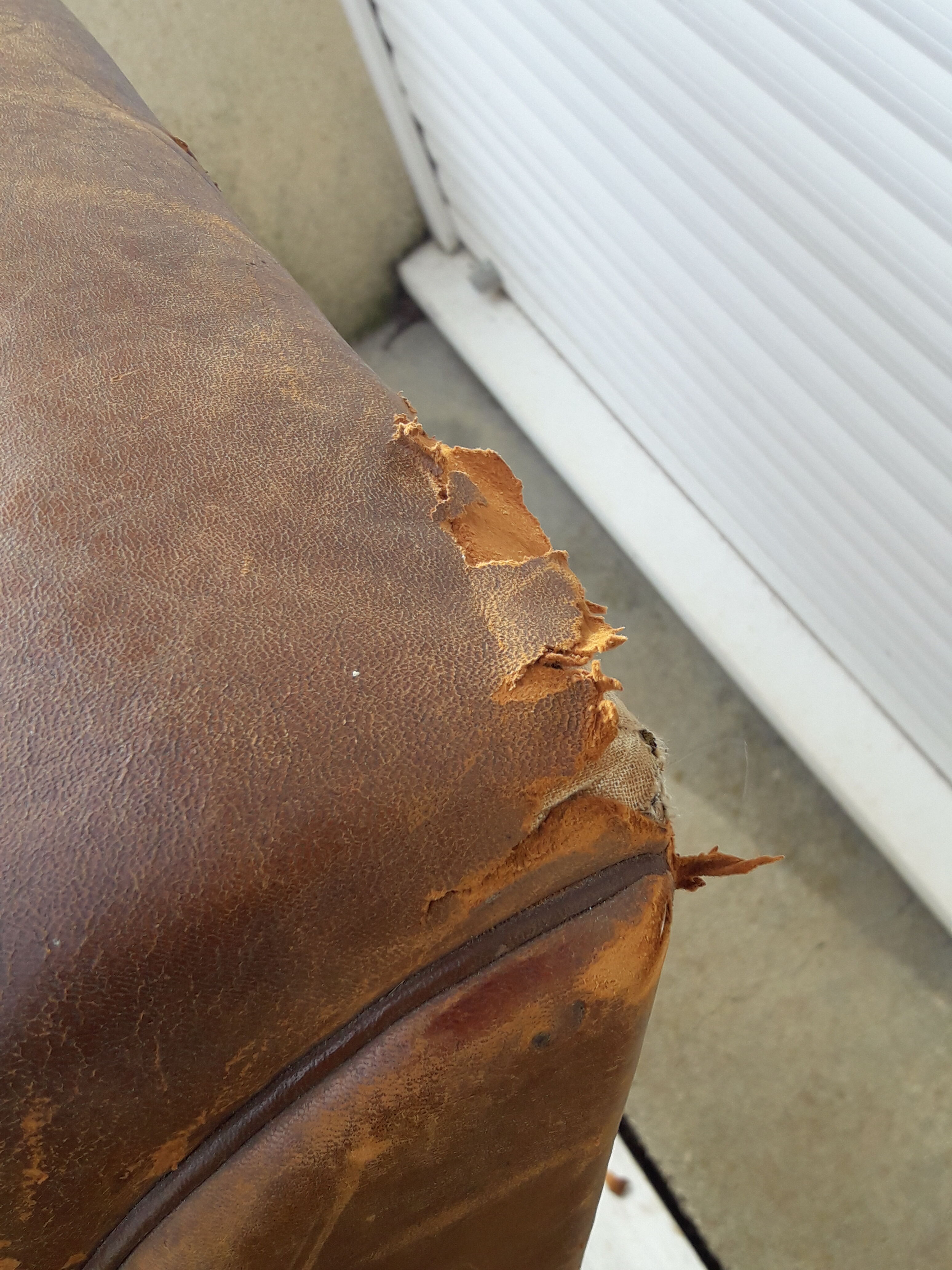 Paire de fauteuils club en cuir marron