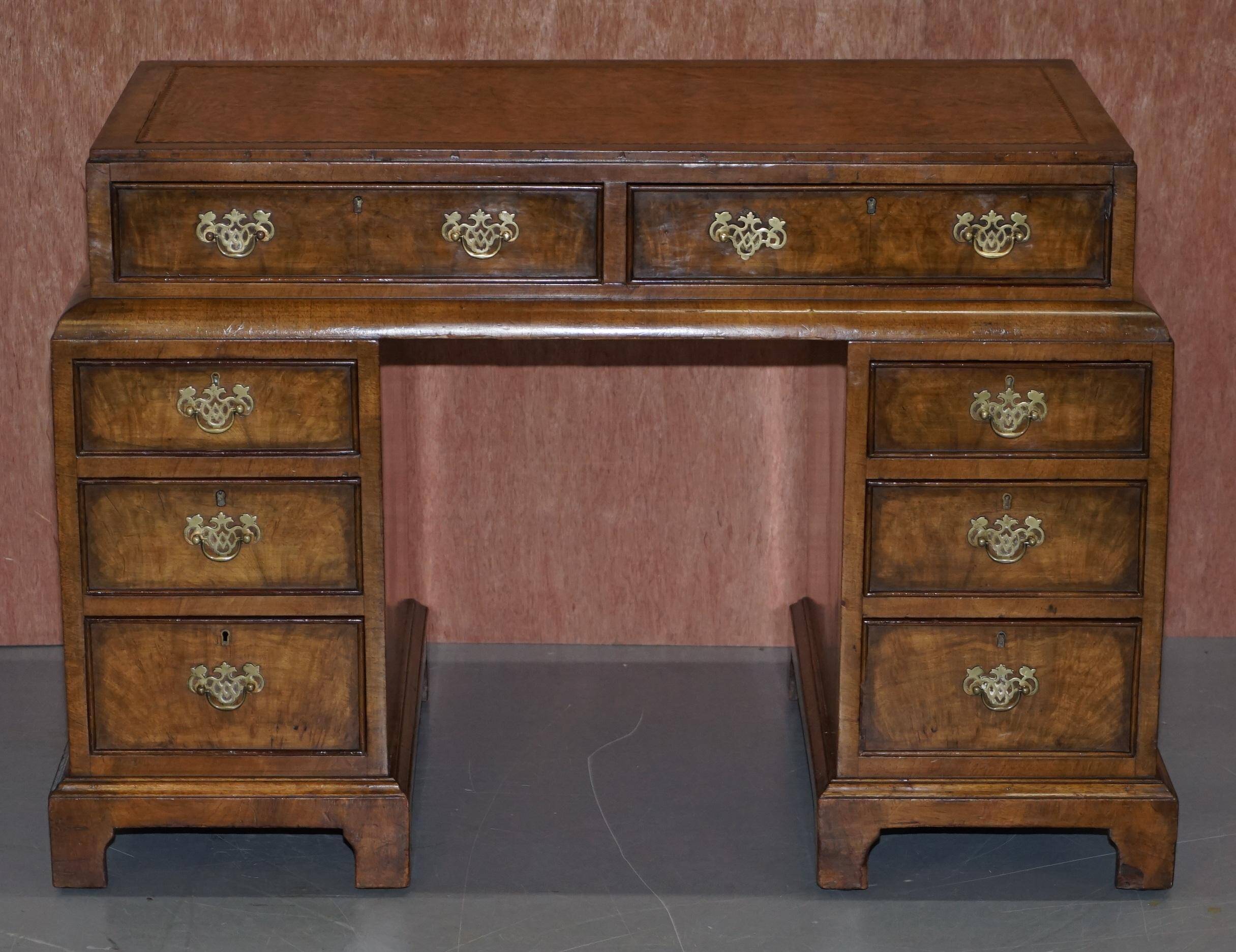 Curved pedestal desk in veined walnut, leather surface, late Victorian period.