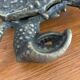 Cendrier crabe