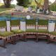 Set of chairs