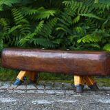 Gymnastic Leather Pommel Horse Bench, 1930s