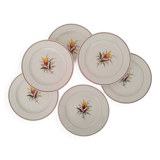 Old Earthenware Dinner Plates KG Lunéville Vintage Tulip Decor