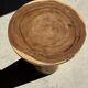 Natural solid suar side table (monoxyle) with a minimal conical base.