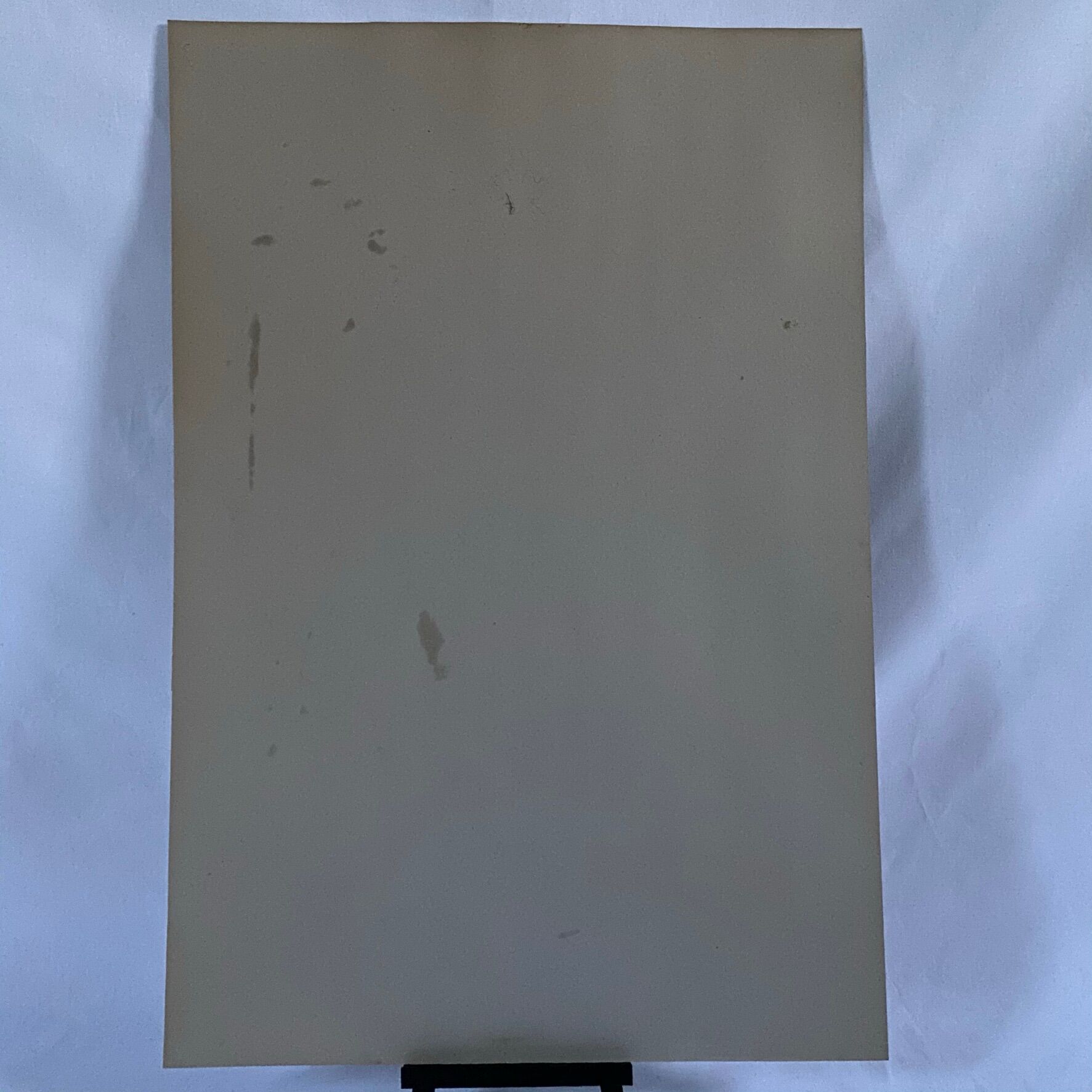 Portrait - Jonathan Zutter