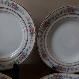 Set of 8 floral design plates | D.R.B. Limoges porcelain