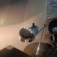 Lampe Topo par Joe Colombo pour Stilnovo 1970 1st edition