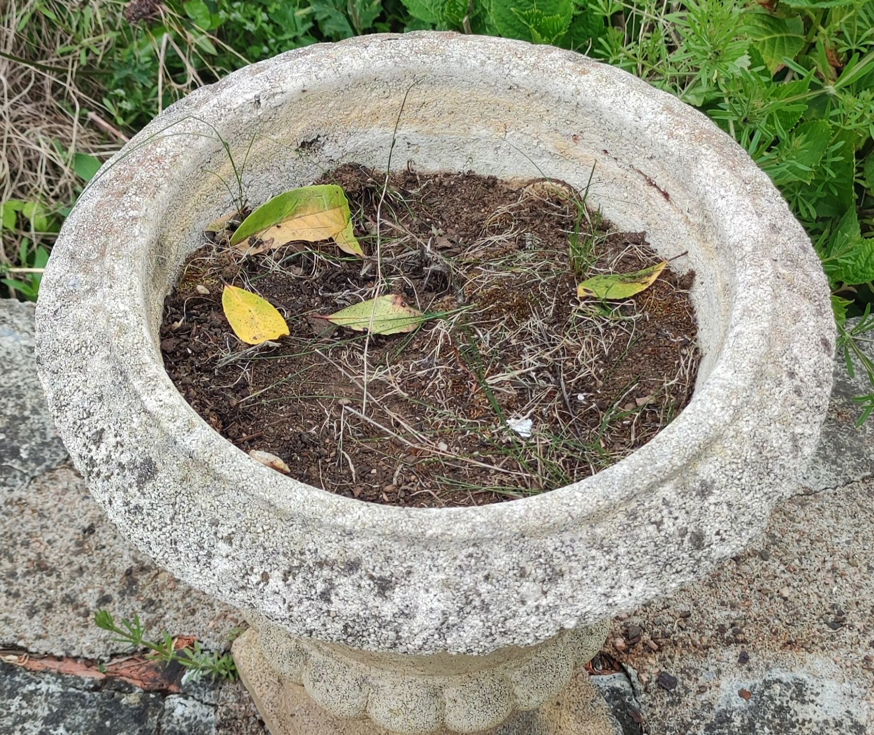 Ancient Medici stone vase