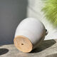 White ceramic flowerpot