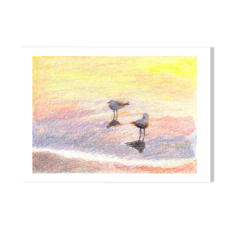 Brunswick Gulls - A4 - Bird SeaScape