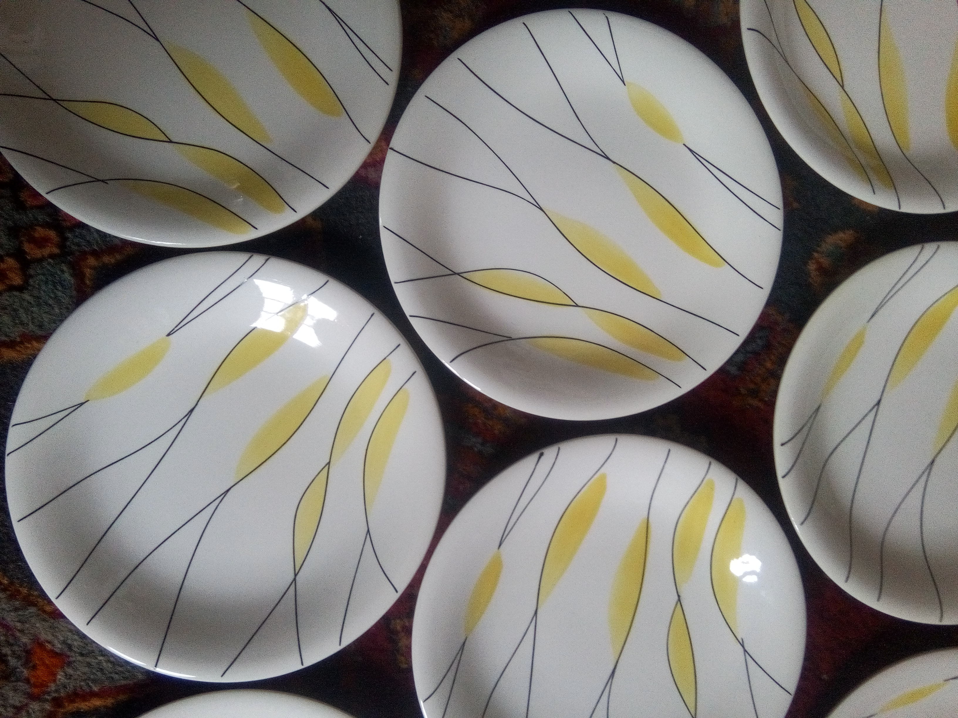 Salins "Moonlight" plates