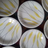 Salins "Moonlight" plates
