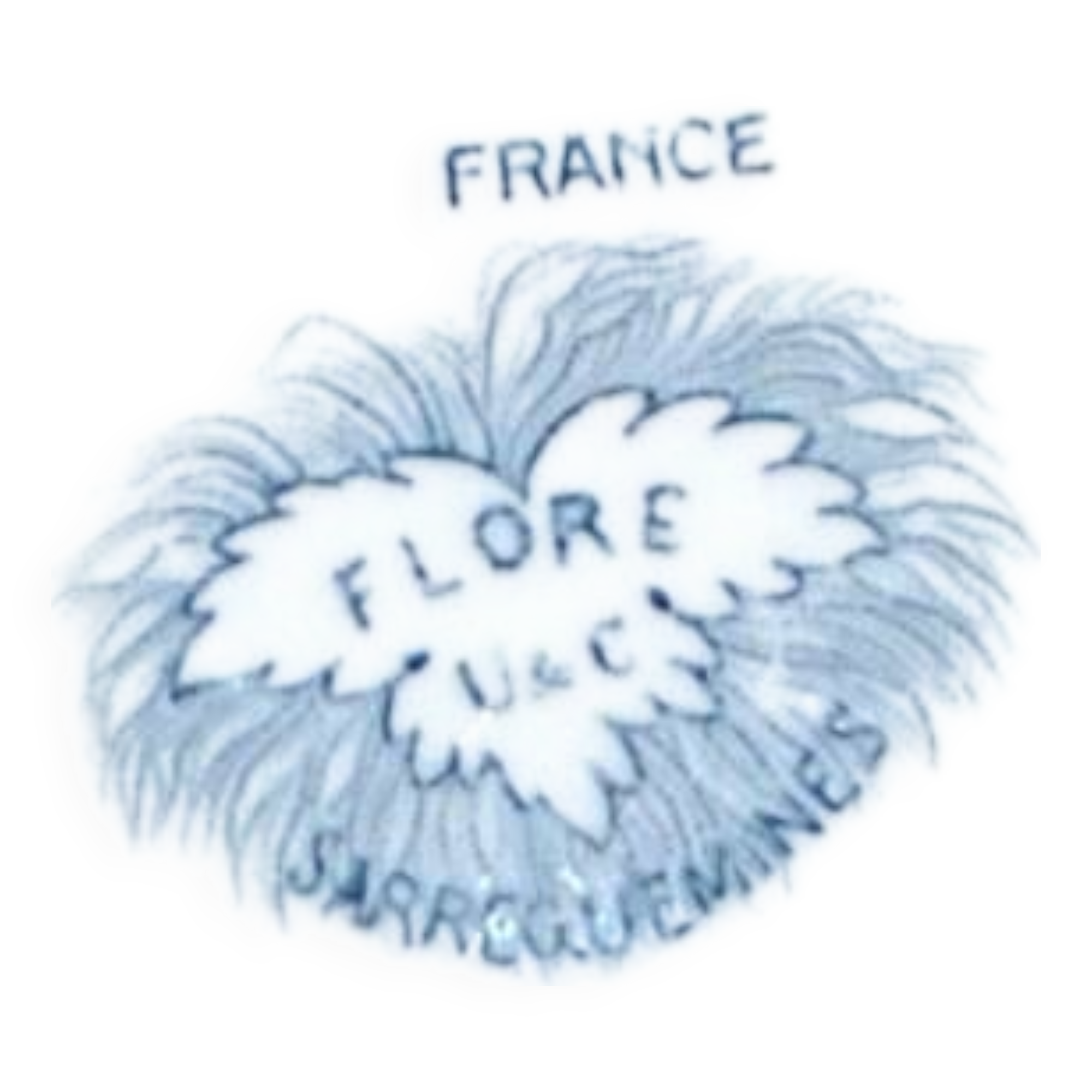 SARREGUEMINES FLORE Deep dish Salad bowl with blue flower decoration U&C 28cm