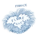 Plat creux, saladier à décor de fleurs bleues u&c Sarreguemines, service "Flore"