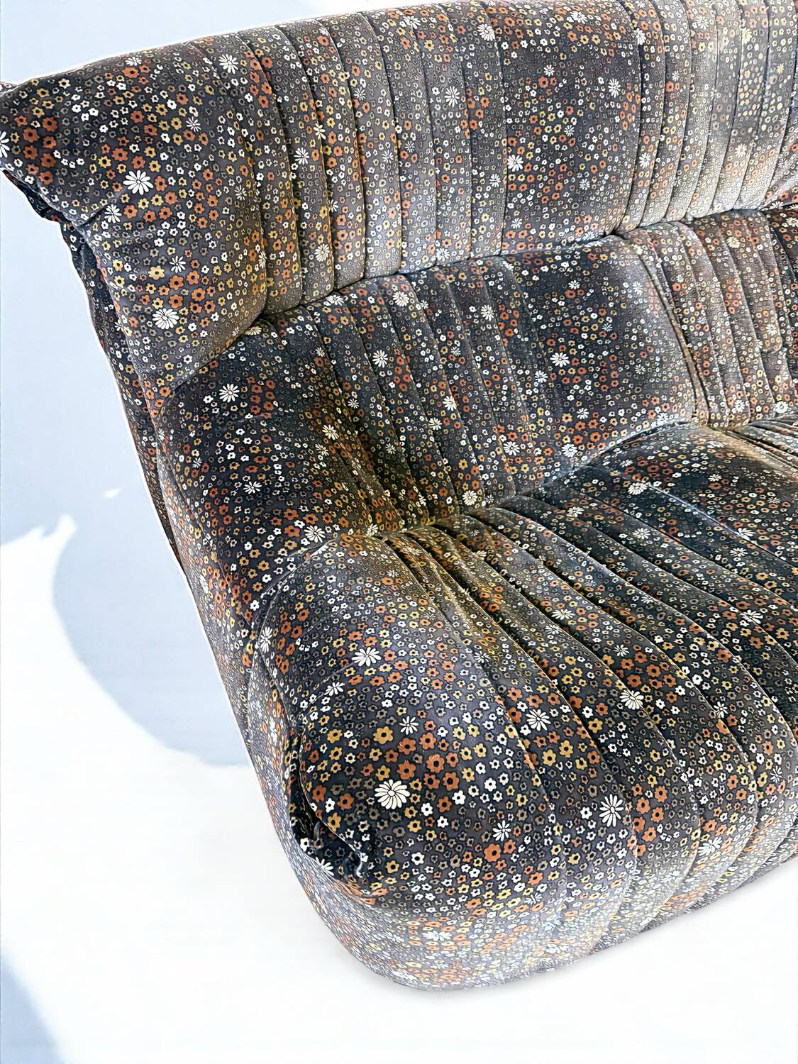 Salon complet ligne Roset Michel Ducaroy