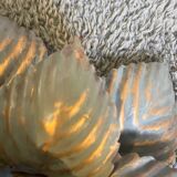 Pair of Masca flower wall lights