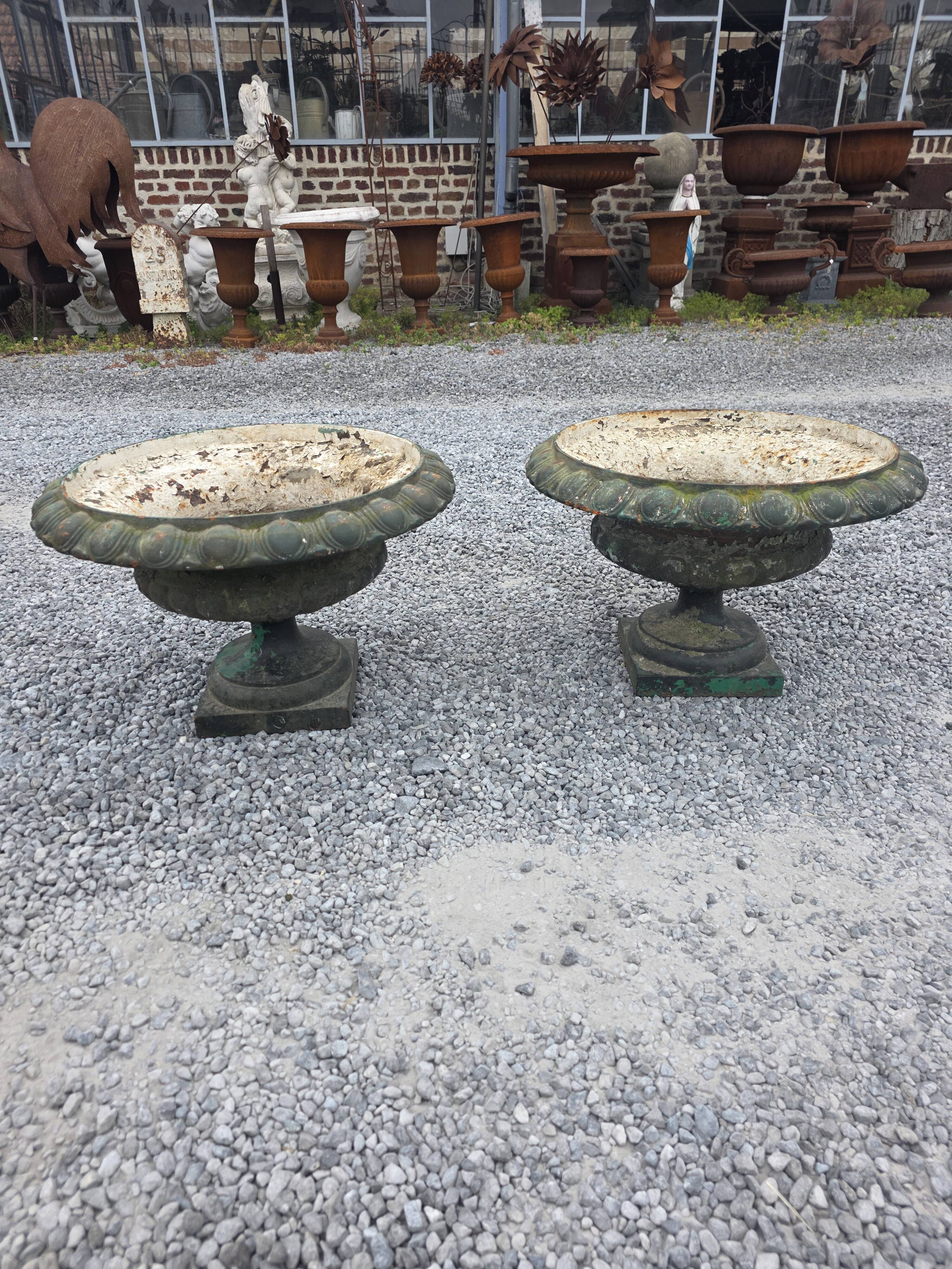 Pair of Medici vases in cast iron from the 19th century, 55cm wide.