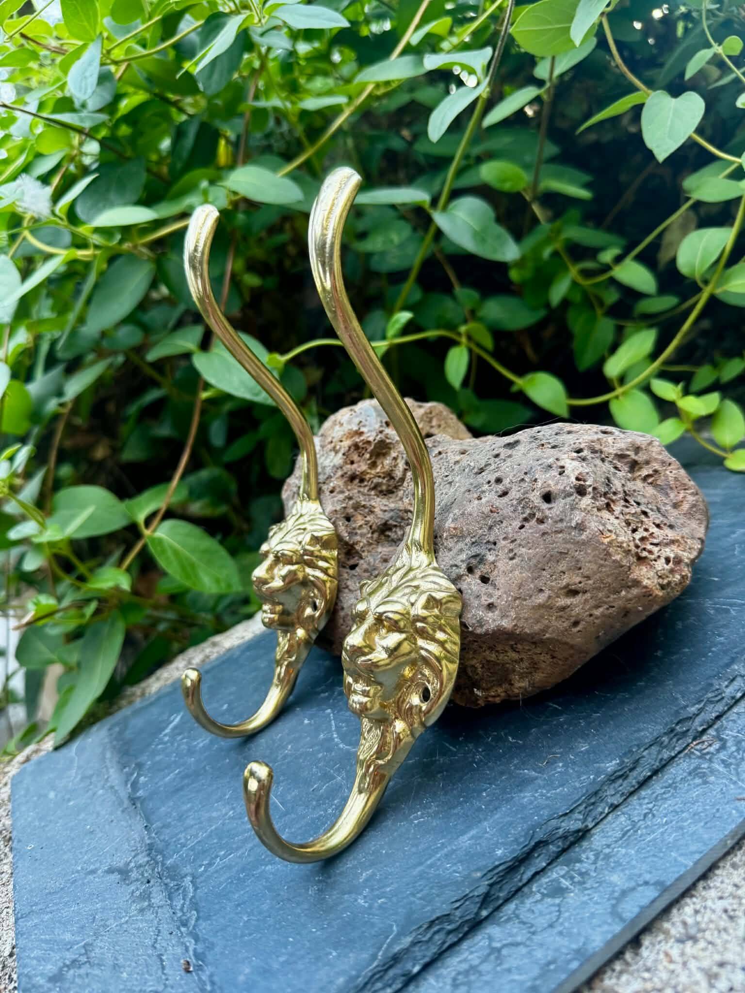 2 lion coat hooks in solid brass Art Nouveau