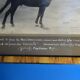 Photographie ancienne cheval Pur Sang Arabe Coq d'Or circa 1930 Alep Syrie