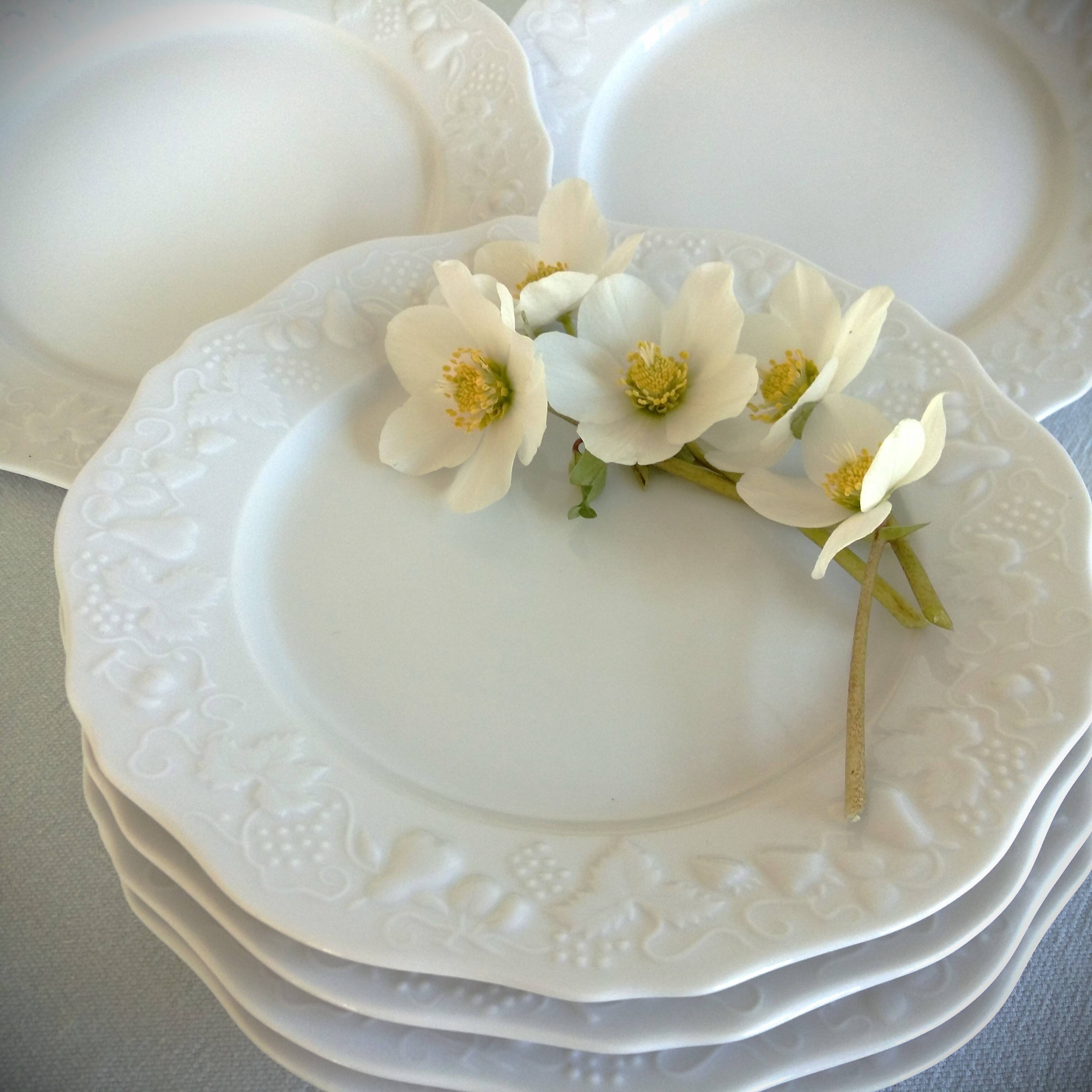 SIX Limoges Dinner Plates.  White Limoges Porcelain Plates.